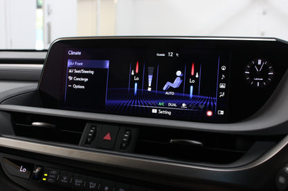 Lexus ES 300h 2.5 F-Sport 4dr CVT