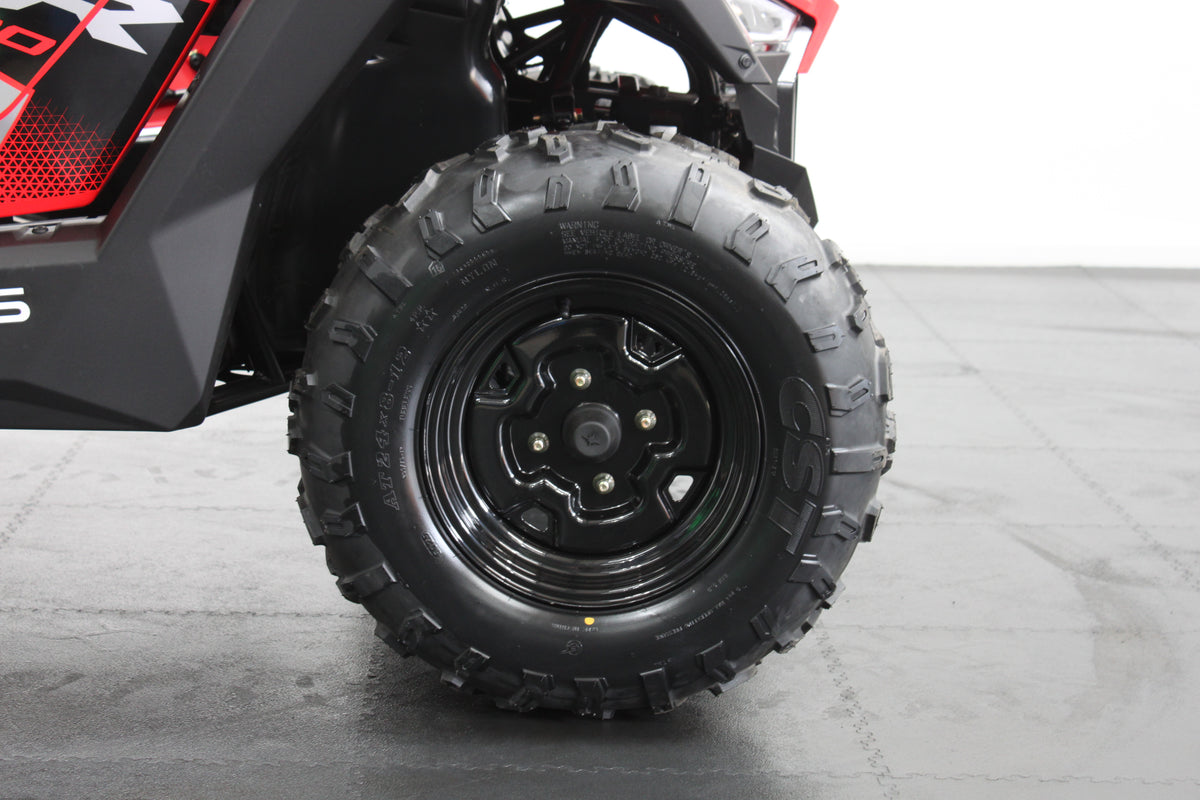 Youth Polaris rzr 200