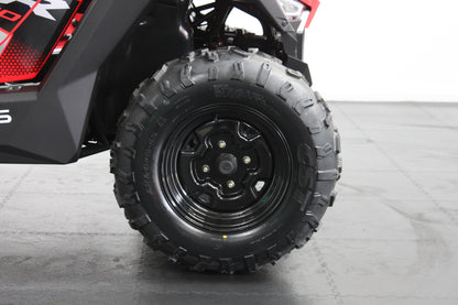 Youth Polaris rzr 200