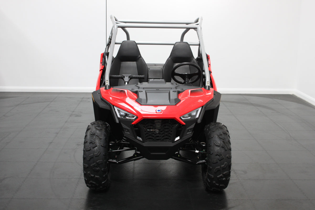 Youth Polaris rzr 200