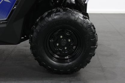 YOUTH POLARIS RZR 200 GREY